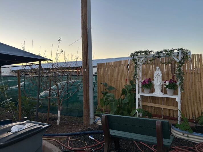 New Bench & Virgin Mary Jan 2026