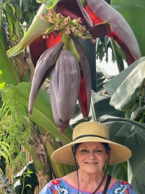 march maryann new flower