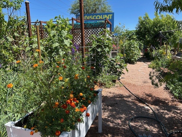 april mesa farm