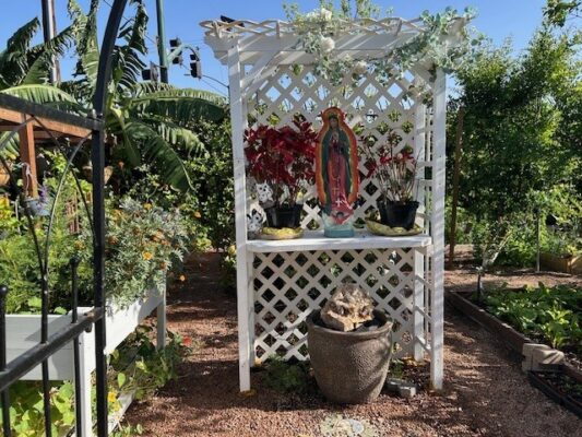 our Lady April Mesa farm 2026