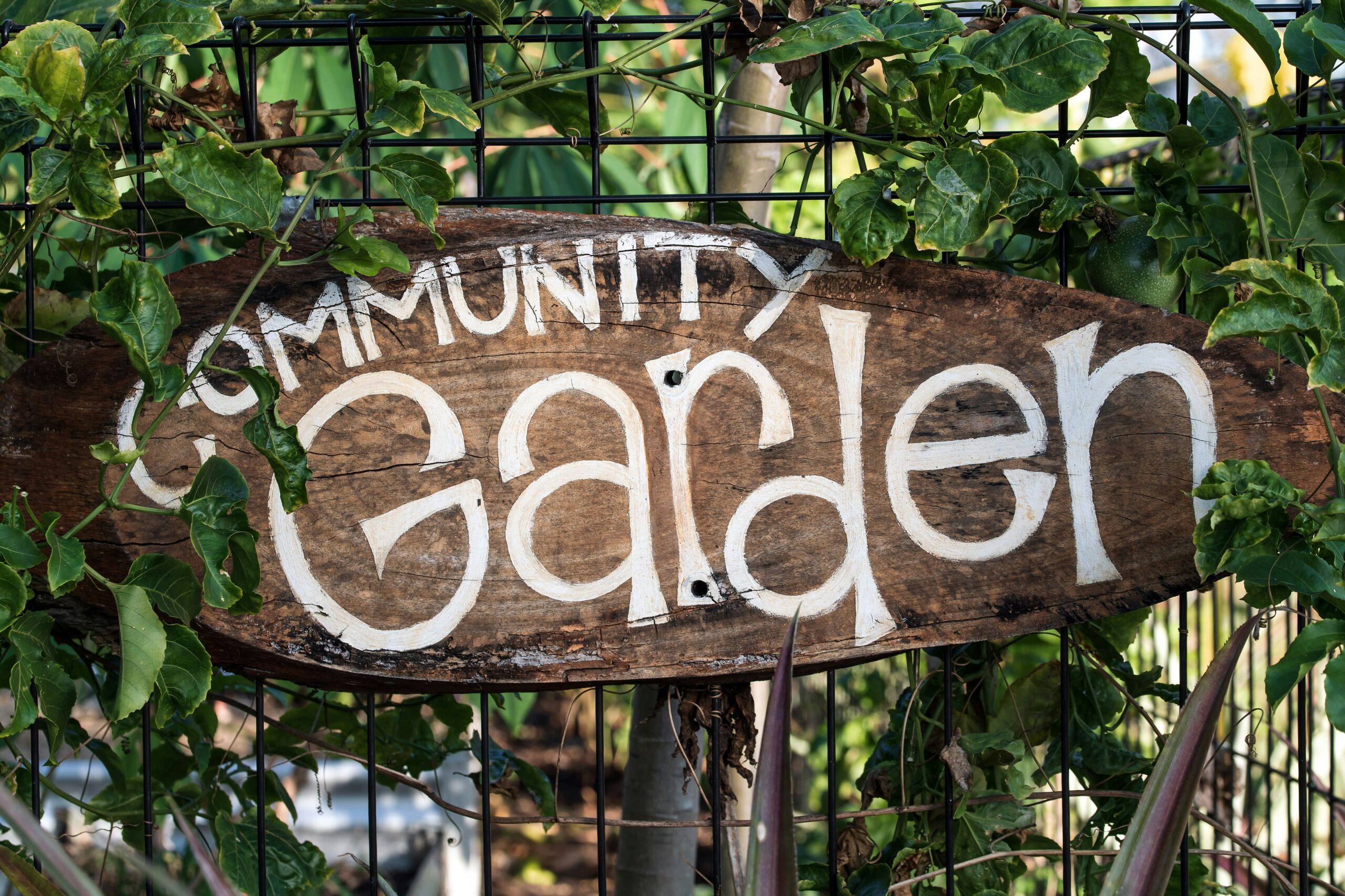 Community Gardens