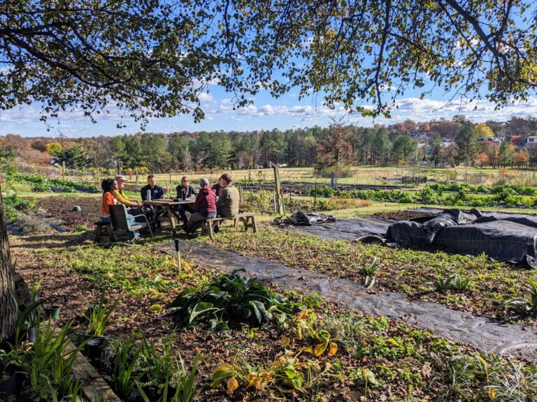 db4a8ffa ee6e 48ad 9246 4c08333c056d 1 768x576