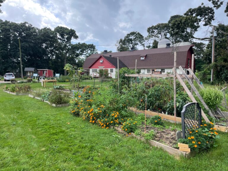 community garden 768x576