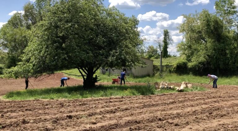 Field 1 pic 1 768x422