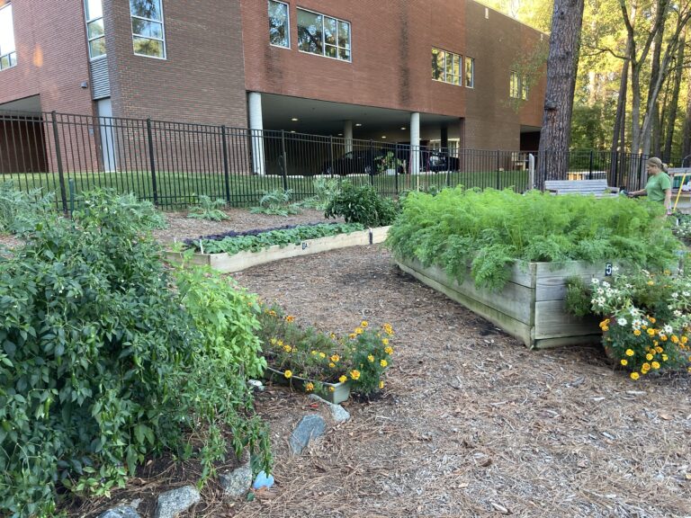 Garden Overview with St. Bernadette Center 768x576