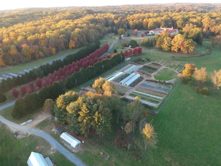 farm overhead 768x576