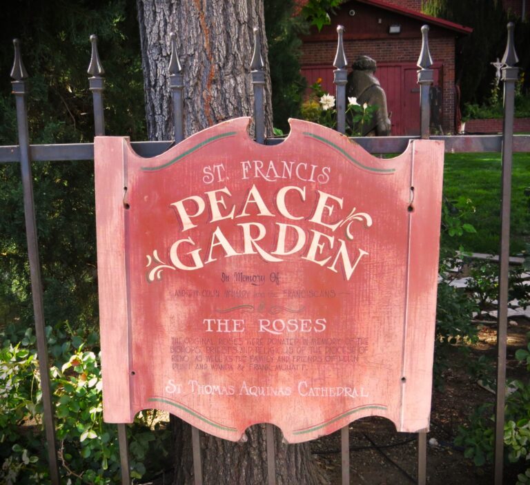 Peace Garden 768x704