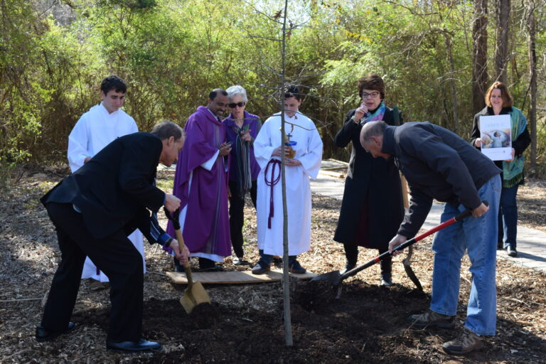 Laudati si tree dedication 768x512