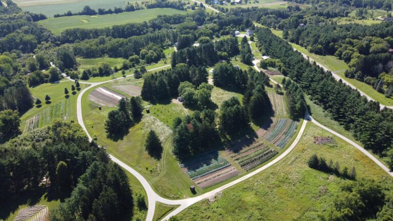 IMG 20220730 WA0008 768x432