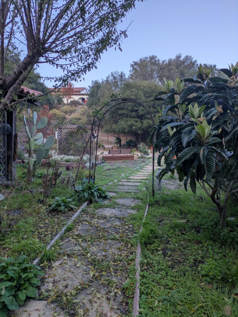 PXL 20251201 231748048.NIGHT 768x1023