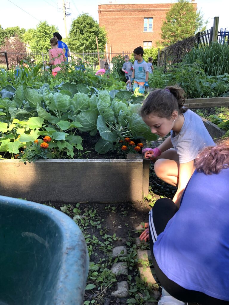 Students in garden 1 768x1024