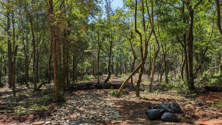 Lost River Arboretum Pic 768x432