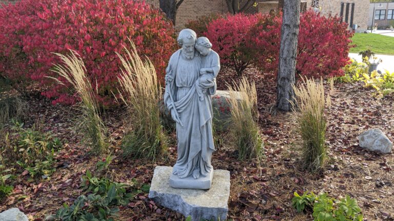 St. Joseph in the BVM garden 768x432