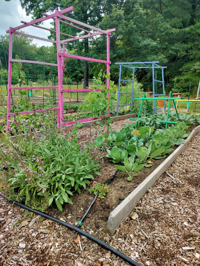 garden 768x1024